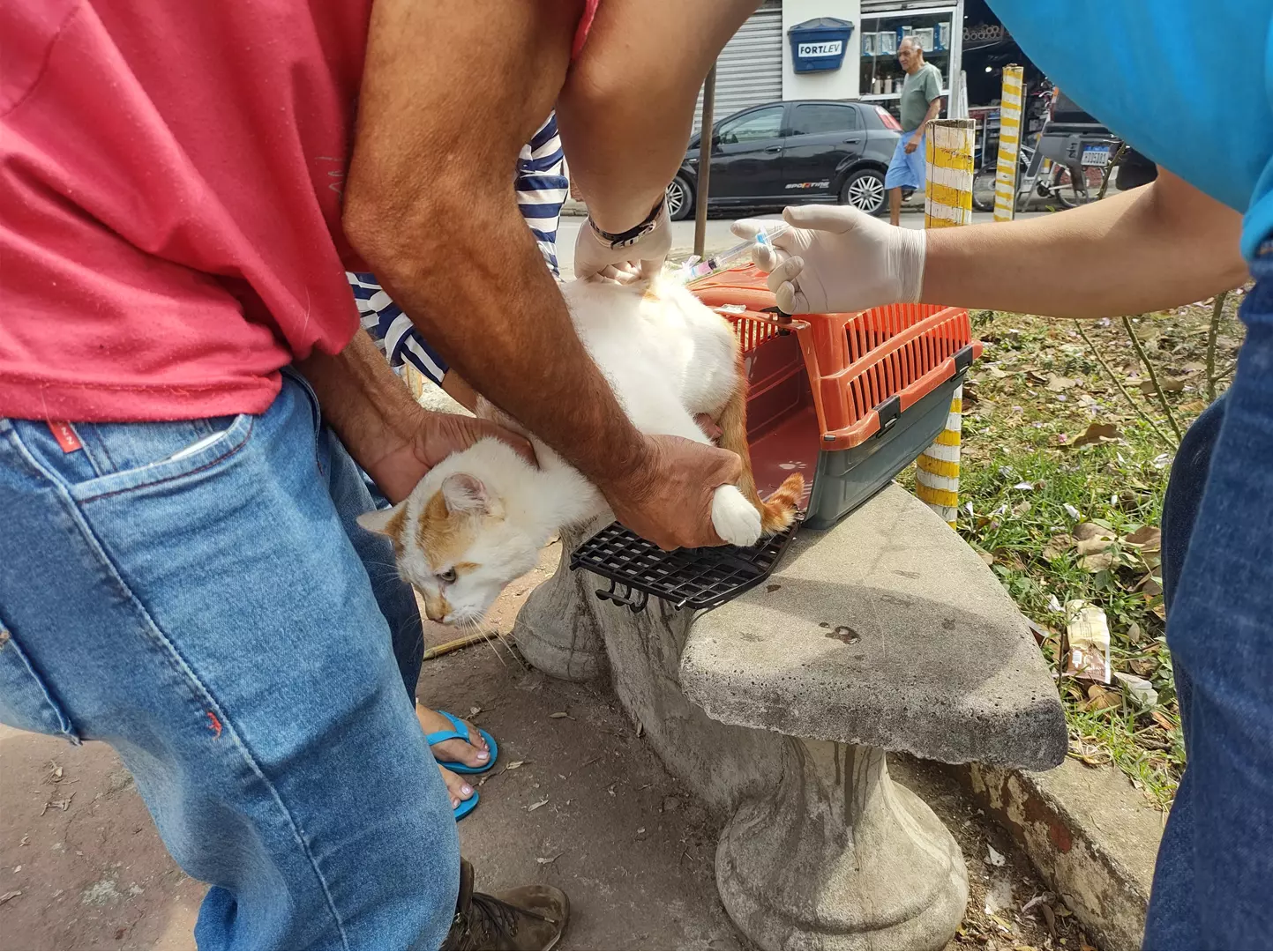 Vacinação antirrábica começa nesta quinta-feira na Zona Rural de Santos Dumont